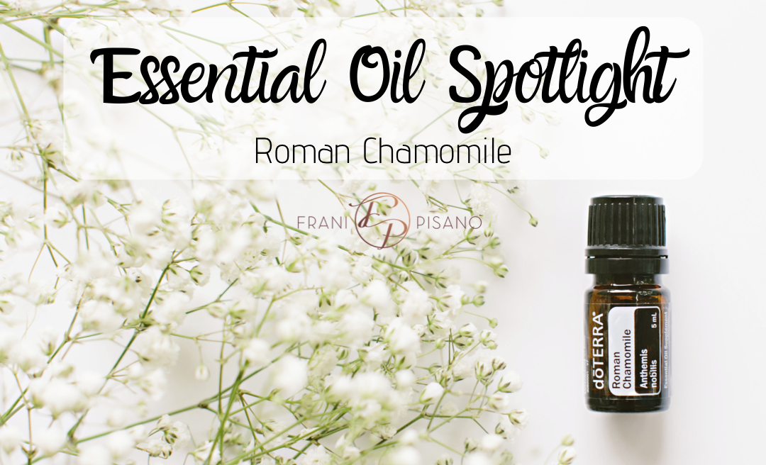 October Promotion: dōTERRA’s Roman Chamomile Is 20% Off!