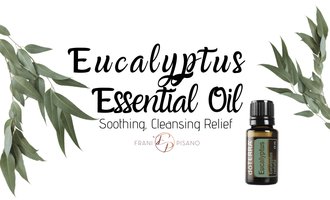Add Eucalyptus Essential Oil to Your Life for Soothing, Cleansing Relief